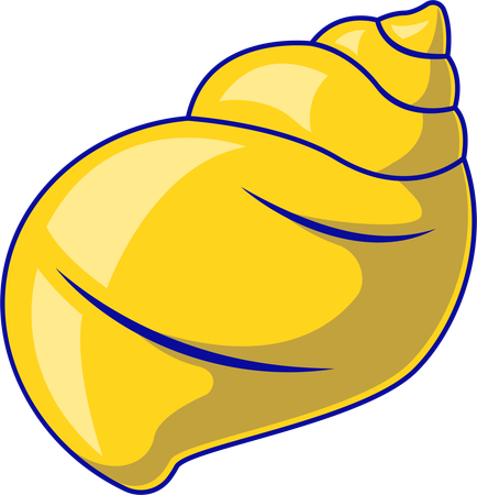 Sea Snail  Illustration