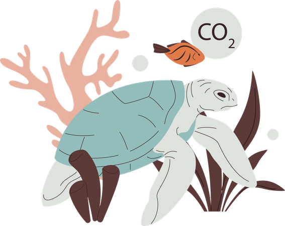 Sea turtle fish and corals toxic habitat area  Illustration