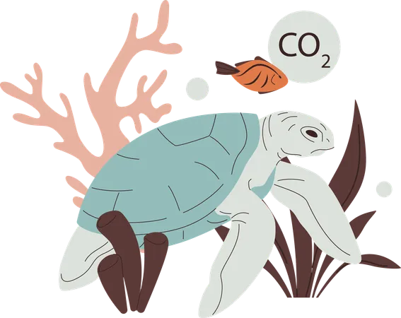 Sea turtle fish and corals toxic habitat area  イラスト