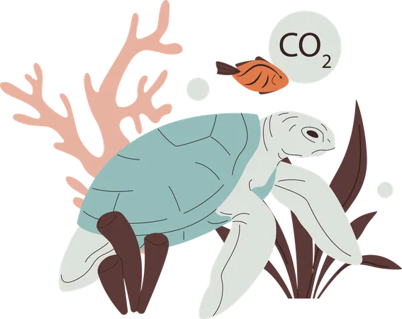 Sea turtle fish and corals toxic habitat area  Illustration