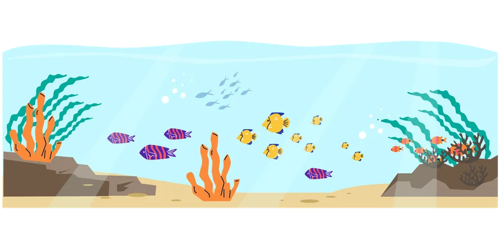 Sea underwater tropical coral reef  Illustration