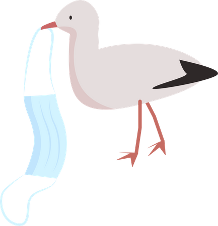 Seagull carries coronavirus face mask  Illustration