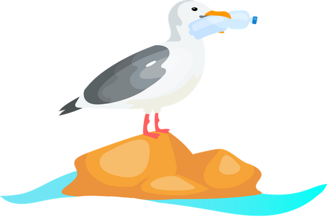 Seagull with plastic bottle in beak  Illustration