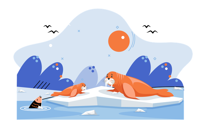 Seal sitting on ice  Illustration