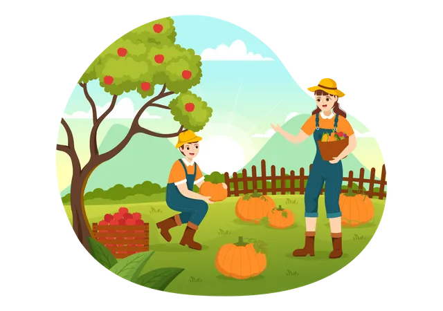 Season Of Pumpkins  Illustration