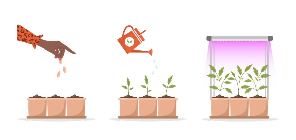 Seedling growing in pot Illustration