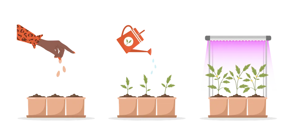 Seedling growing in pot  Illustration