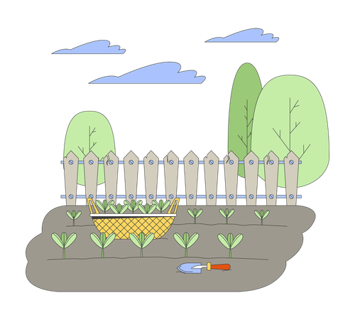 Seedlings basket and shovel in kitchen garden  Illustration