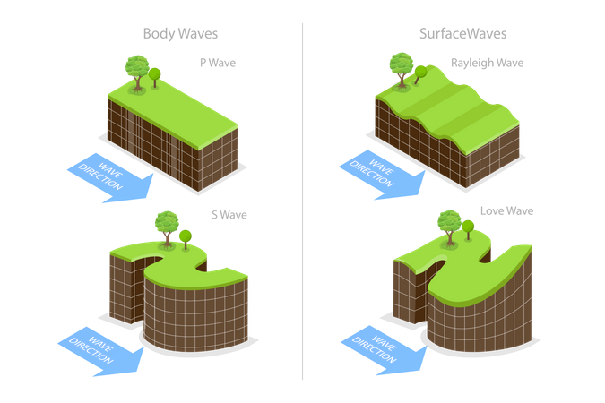 Seismic Waves  Illustration