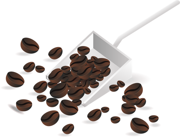 Selected coffee beans Illustration