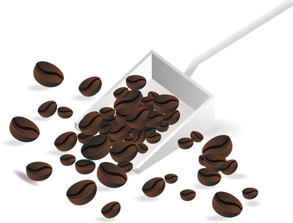 Selected coffee beans  Illustration