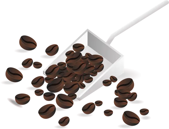 Selected coffee beans  Illustration