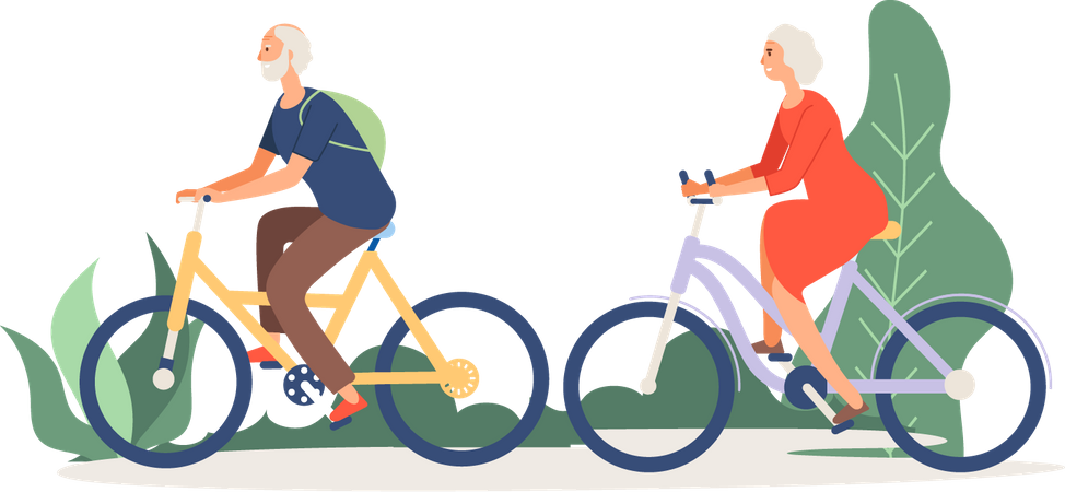 Senior couple riding cycle  Illustration