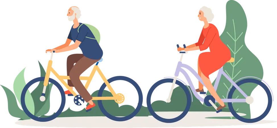 Senior couple riding cycle  Illustration