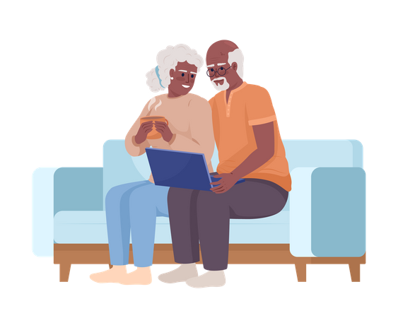 Senior couple using laptop  Illustration