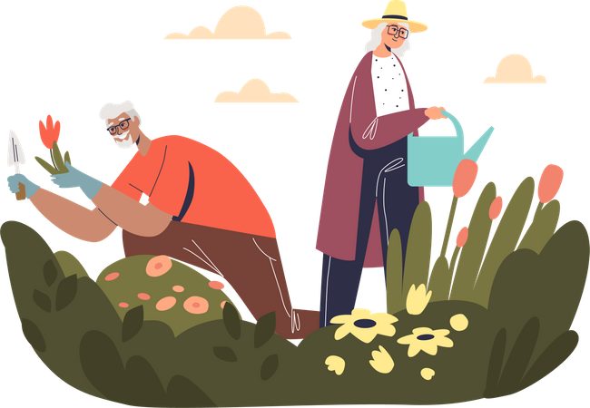 Senior couple working in garden  Illustration