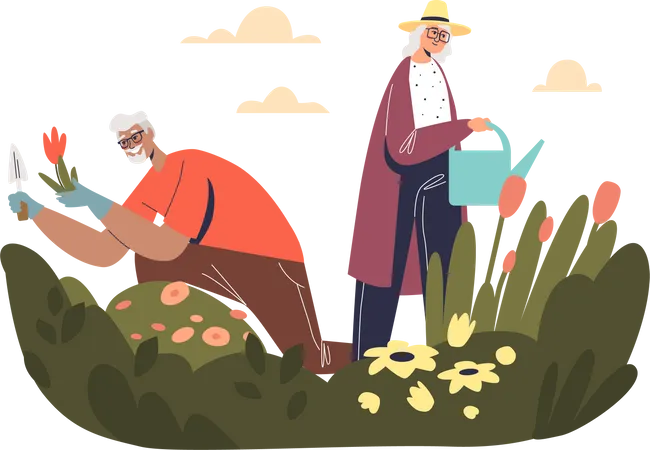 Senior couple working in garden  Illustration