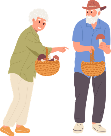 Senior family couple walking together and picking mushrooms  Illustration