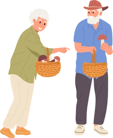 Senior family couple walking together and picking mushrooms  Illustration