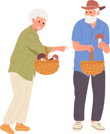 Senior family couple walking together and picking mushrooms  Illustration