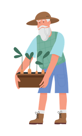 Senior gardener holding plant  Illustration