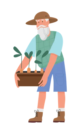 Senior gardener holding plant  Illustration