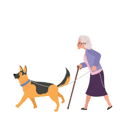 Elderly Woman Walking With Escort Dog Senior Lady With Cane Stick And Trusty Escort Dog Flat Vector Cartoon Illustration Illustration