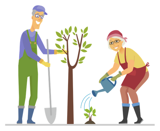 Senior people planting a tree  Illustration