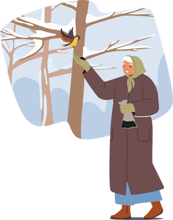 Senior woman feeds birds from her hand  Illustration