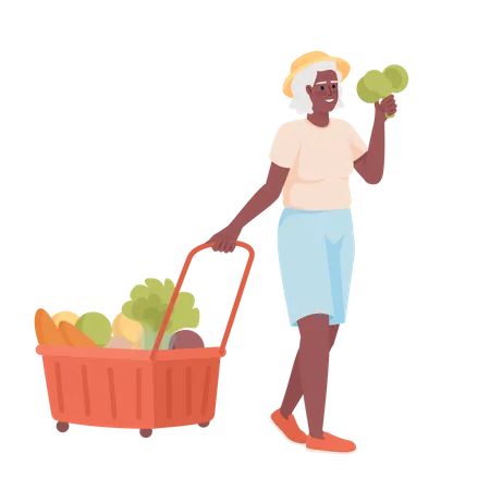 Senior woman with grocery cart  Illustration