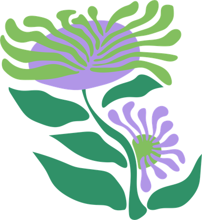 Serene Lotus Bloom  Illustration