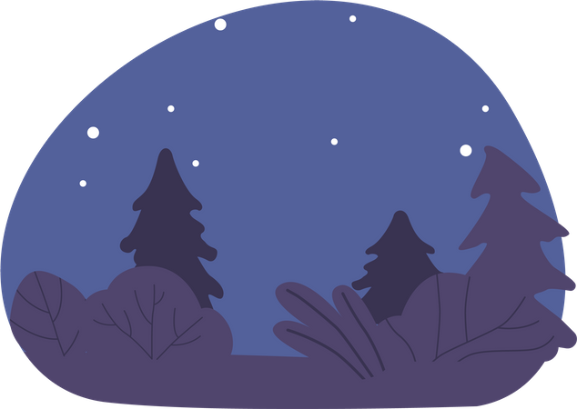 Serene Night Forest  Illustration