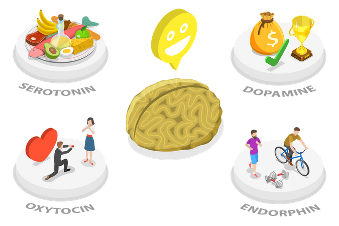 Serotonin Hormone  Illustration