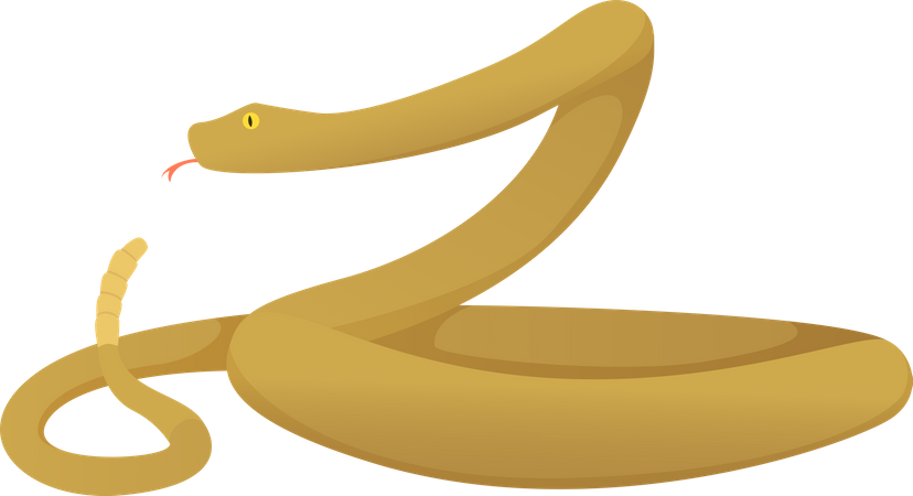 Serpent  Illustration