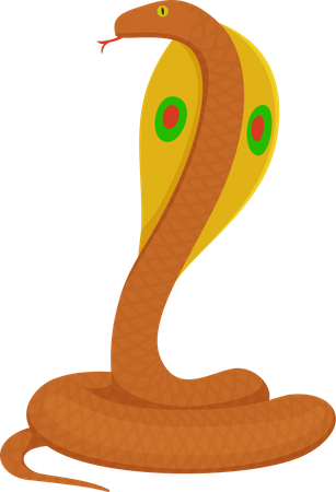 Serpent  Illustration