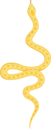 Serpent  Illustration