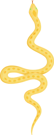 Serpent  Illustration