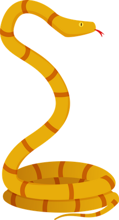 Serpent  Illustration