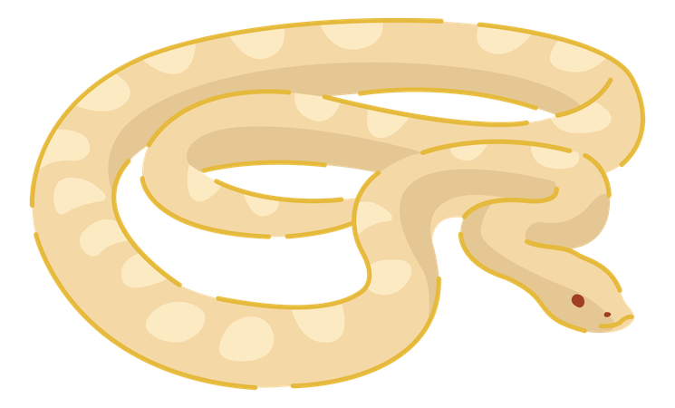 Serpiente  Ilustración