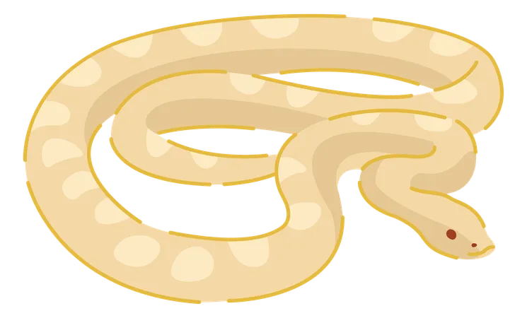 Serpiente  Ilustración