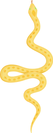 Serpiente  Ilustración