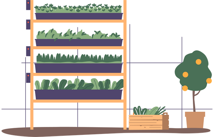 Serre pour cultiver des plantes vertes dans un environnement contrôlé  Illustration