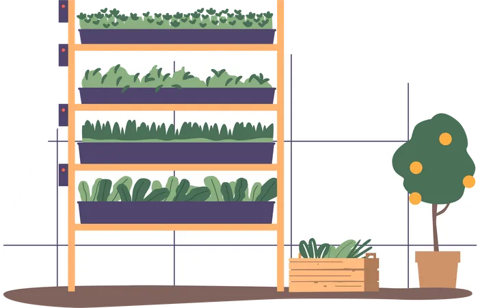 Serre pour cultiver des plantes vertes dans un environnement contrôlé  Illustration