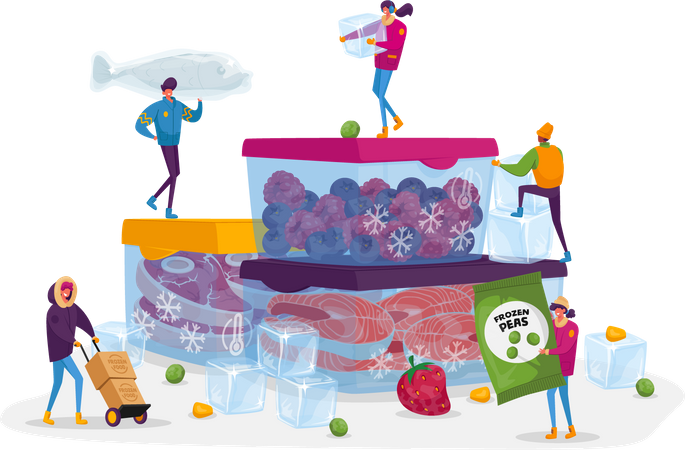 Serviço de embalagem de alimentos congelados  Ilustração