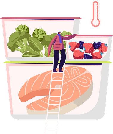 Serviço de embalagem de alimentos congelados  Ilustração