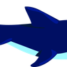 illustration shark