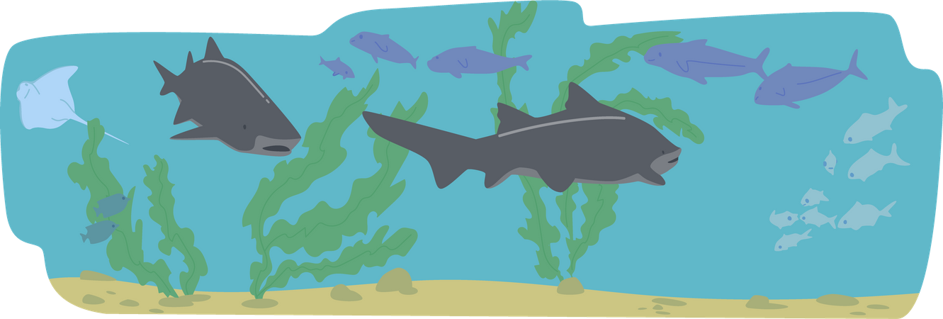 Sharks swimming underwater  Illustration