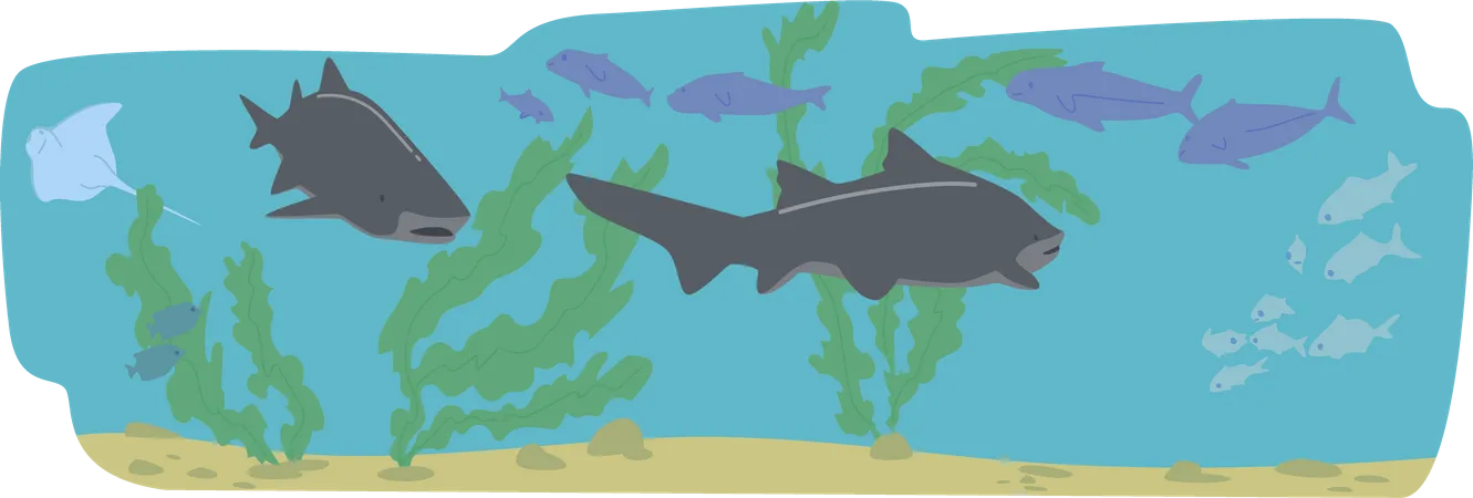 Sharks swimming underwater  Illustration