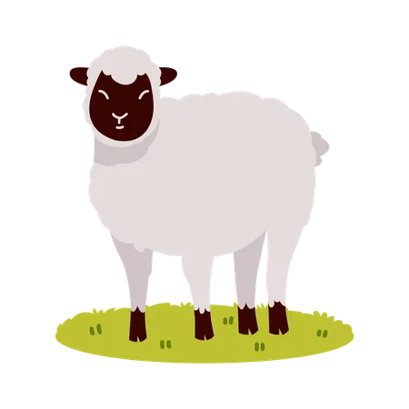 A Depiction Of A Cute Cartoon Sheep Standing On A Grassy Patch With A Simple And Cheerful Design イラスト
