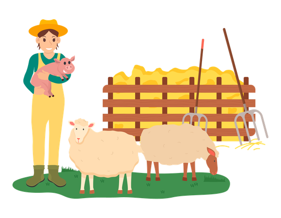 Sheep farming  Illustration